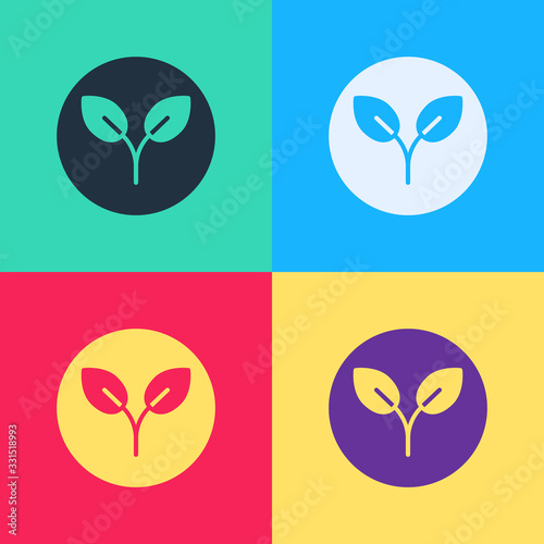 Pop art Bio fuel icon isolated on color background. Eco bio. Green environment and recycle. Vector Illustration