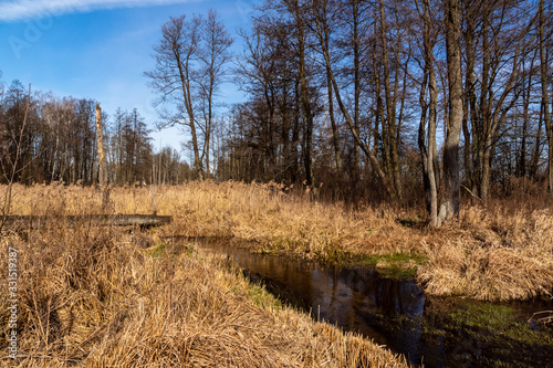 Fototapeta Naklejka Na Ścianę i Meble -  Dolina Górnej Narwi. Rzeka Mieńka. Wiosna na Podlasiu. Polska