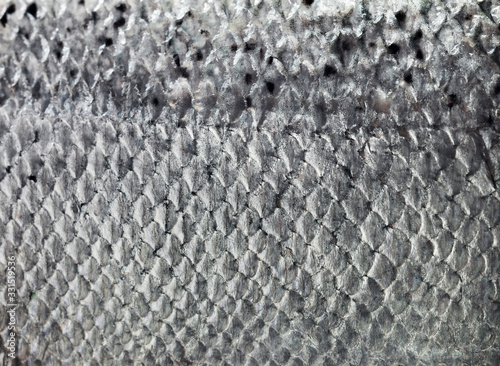 Salmon skin with scales photo