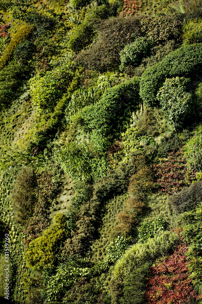 Jardín Vertical