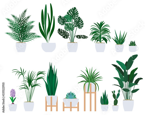 Set of decorative houseplants to decorate the interior of a house or apartment.