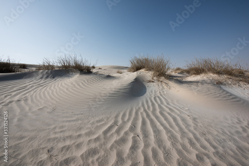 Fototapeta Naklejka Na Ścianę i Meble -  Oman The desert dunes of Wahiba Sands