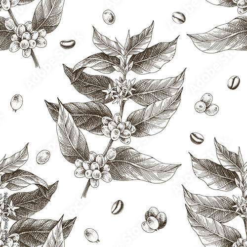 Seamless pattern with colorful hand drawn coffee tree branches and beans
