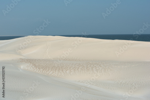 Fototapeta Naklejka Na Ścianę i Meble -  Oman The desert dunes of Wahiba Sands