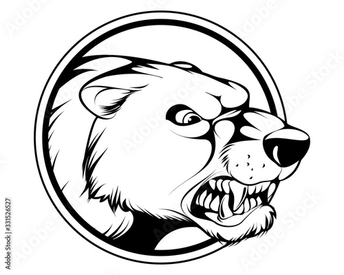 Angry bear's head