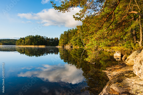 Fototapeta Naklejka Na Ścianę i Meble -  Forest reflects on calm lake, Sweden.