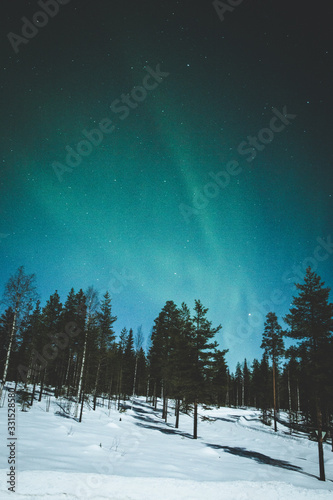 Magic and charming Aurora in Lapland © Reinette