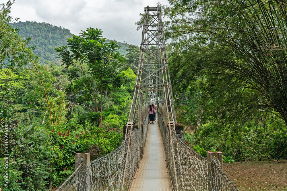 Hanging bridge with tourists in Kandy, Sri Lanka. Natural green landscape with tropical trees, Royal Botanical Gardens, Peradeniya.
