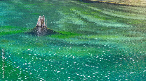 A piece of dried wood sticking out of the lake with turquoise water