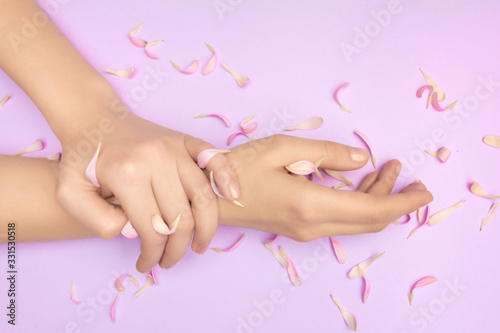 Pink petals of a flower in gentle womans hands on a violet background. Concept of advertisment of beauty salon