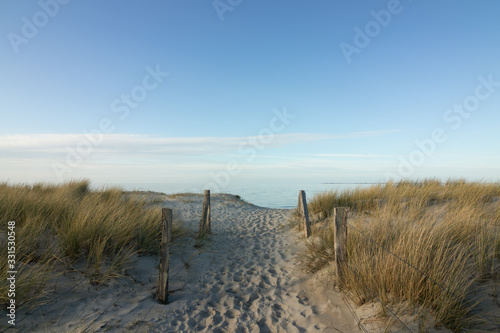 Ostsee Strand Zugang   Meer Urlaub  Textfreiraum