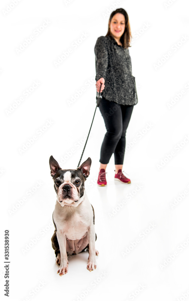 woman with is Boston Terrier on studio white background