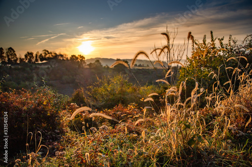 Sunrise on a country hillside in autumn