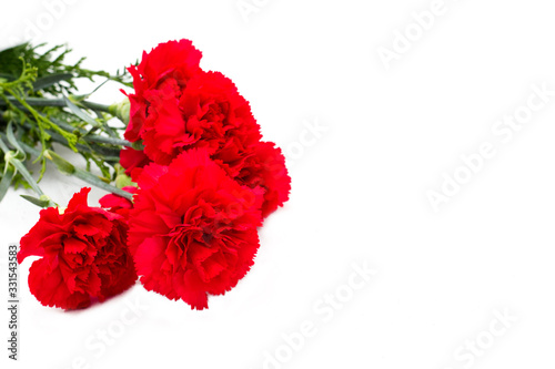 Four red carnations flowers