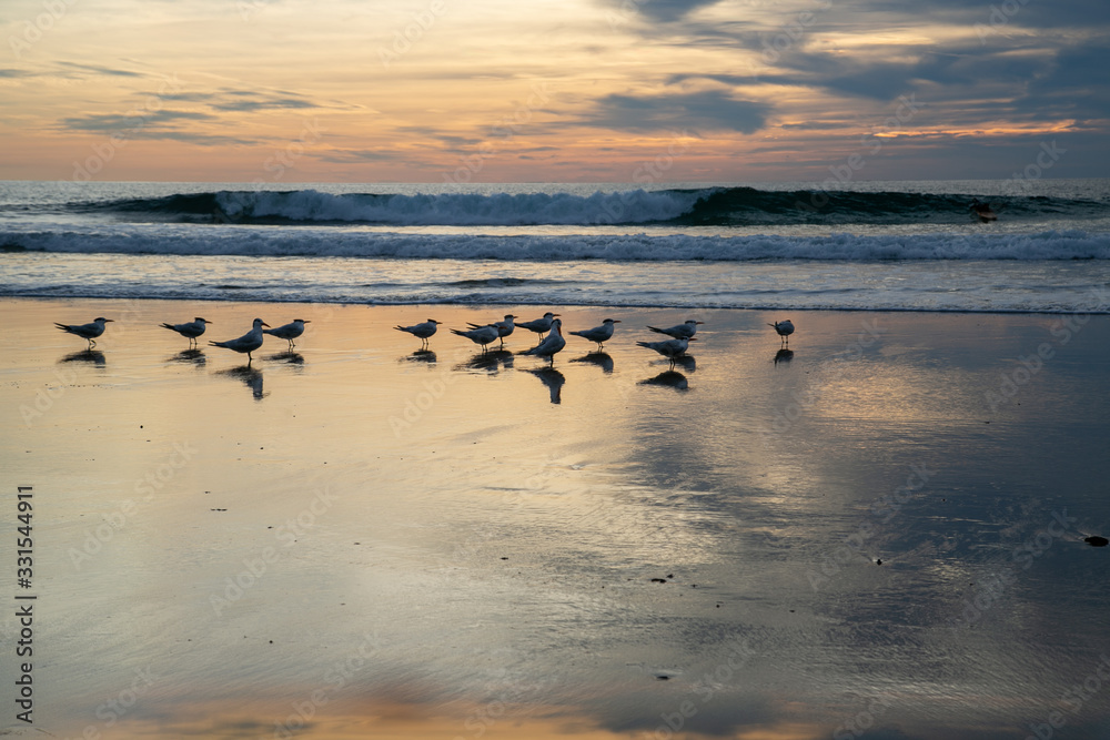 Naklejka premium Sunset