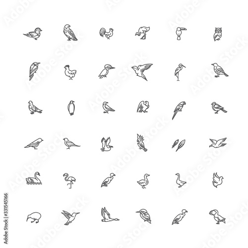 Set of different birds. Vector line icons. Set of different birds