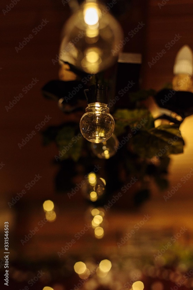 on a spruce branch with a light bulb with a light inside