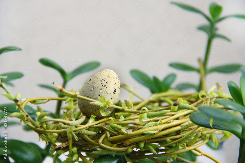 easter eggs in a nest easter eggs in a nest