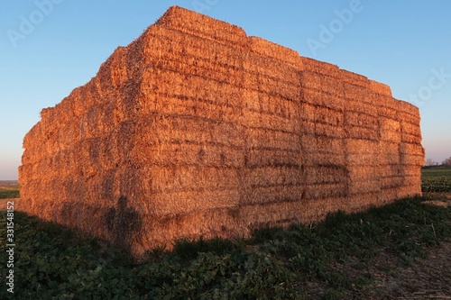 Large stack of hay made of rectangular hay bales, looking like australian rock, placed on spring rapeseed field, evening sunshine.  photo