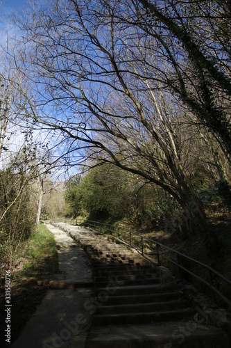 Path in a forest close to Bilbao