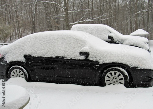Parked cars covered with snow during a snowstorm with trees in the background 