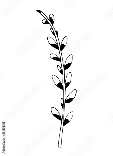 Spring monochrome linear vector illustration of a branch of a blooming pussy willow. Easter symbol hand-drawn in doodle style. For greetings, cards, wedding decoration, logo, coloring, invitations