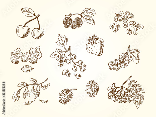 Vector Set of doodle berries: strawberry, blueberries, black currant, raspberries, blackberries, red currants, gooseberries, cherries, rowan, mulberry