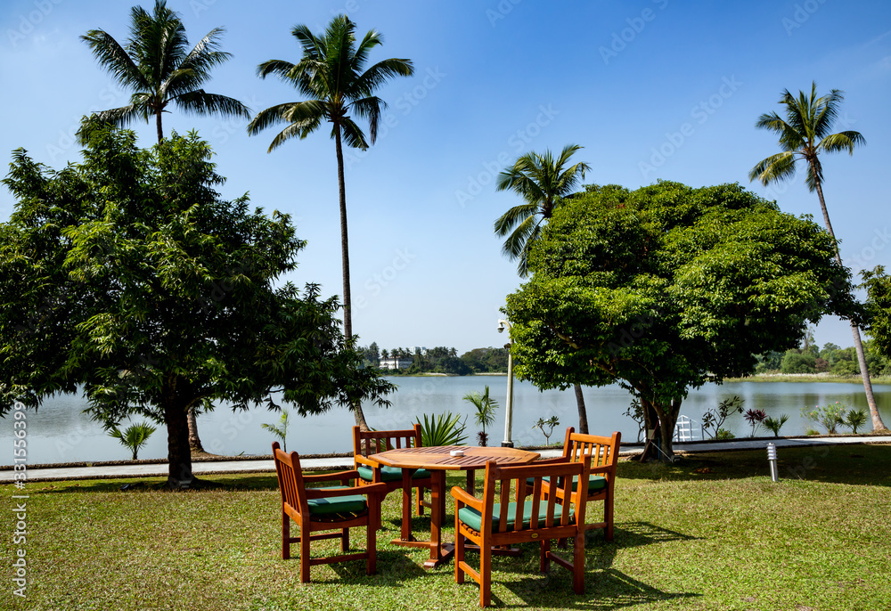 Green lawn in the back garden with wooden table and chairs for relaxing on background of large pond with tall palm trees