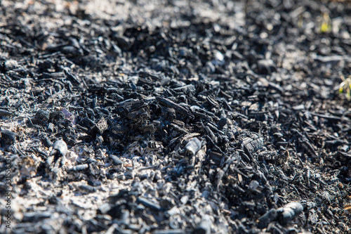 Fotografie remains of coal and ash