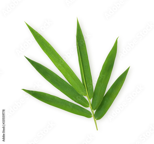 Fresh bamboo leaves isolated on white background with clipping path.