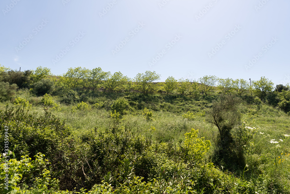 Fototapeta premium Ayun River Nature Reserve
