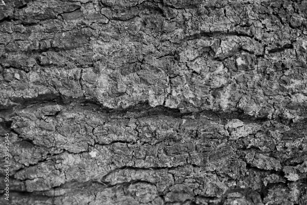 white-black wood patttern texture background free white-black wood patttern texture background free
