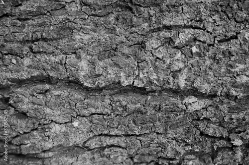 white-black wood patttern texture background free