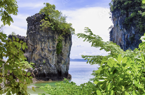 Beautiful island in Thailand. Vegetation and ocean on a sunny day