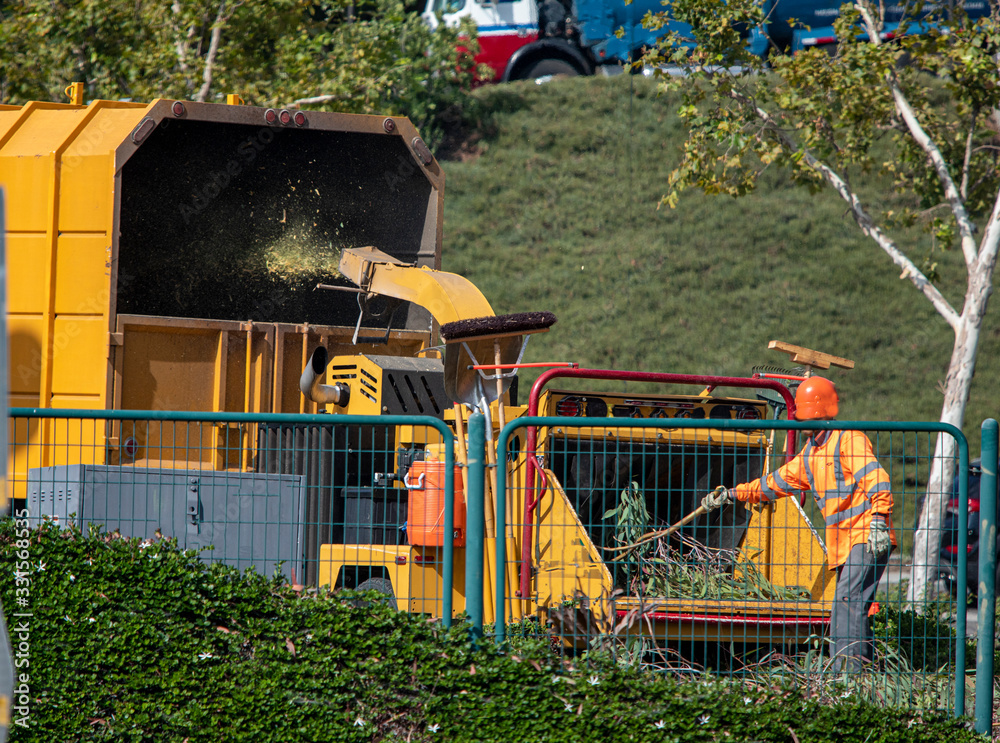 Man in orange safety vest and orange hard hat operating tree chipper Machine grinding tree into yellow covered truck Man in orange safety vest and orange hard hat operating tree chipper Machine grinding tree into yellow covered truck