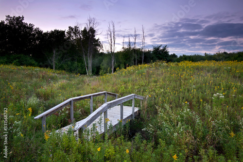 Wooden footbridge over a creek at sunset in a Midwest prairie.