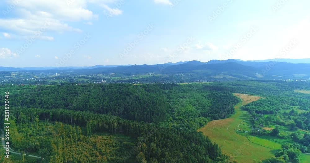 Low drone flight over young small trees surrounded by large ones in a summer coniferous forest. Low drone flight over young small trees surrounded by large ones in a summer coniferous forest.