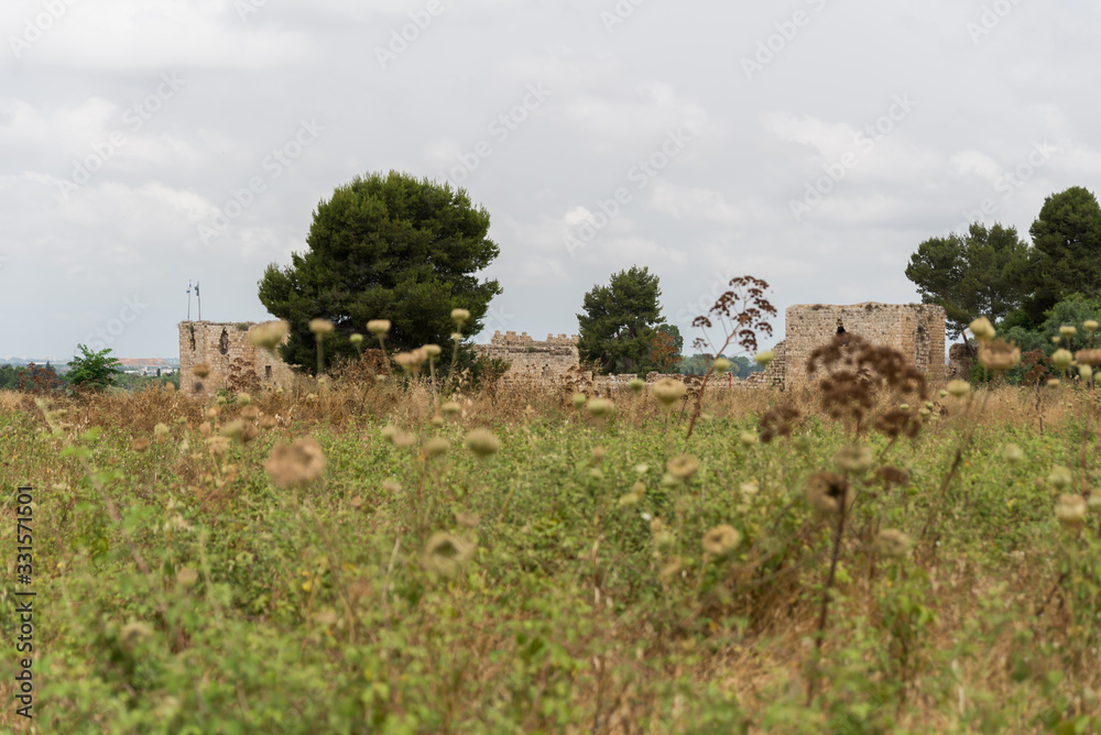 Fototapeta premium Yarkon National Park in central Israel