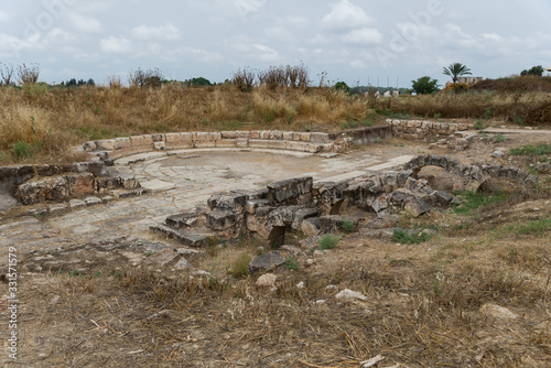 Yarkon National Park in central Israel photo