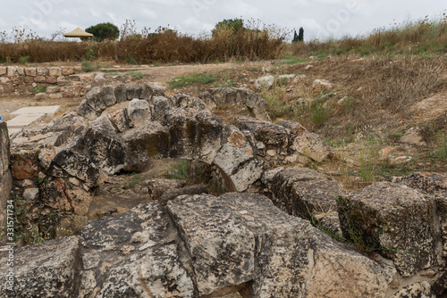 Yarkon National Park in central Israel photo