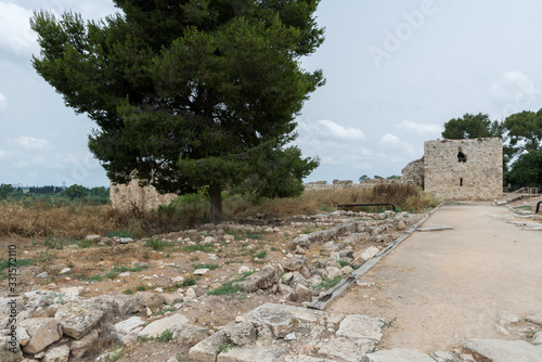 Yarkon National Park in central Israel photo