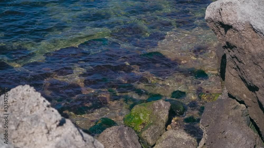 Large stones with green algae on the sea coast Large stones with green algae on the sea coast