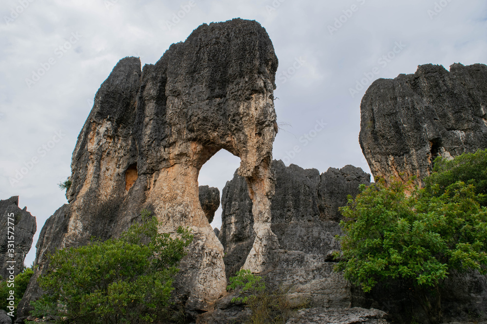 Shilin Stone Forest Kunming China Karst Landscape Limestone Elephant Formation
