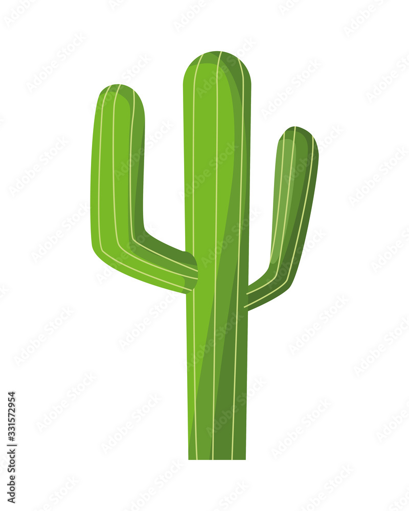 cactus mexican plant isolated icon cactus mexican plant isolated icon