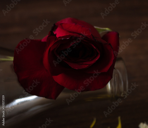 rose in a glass bottle
