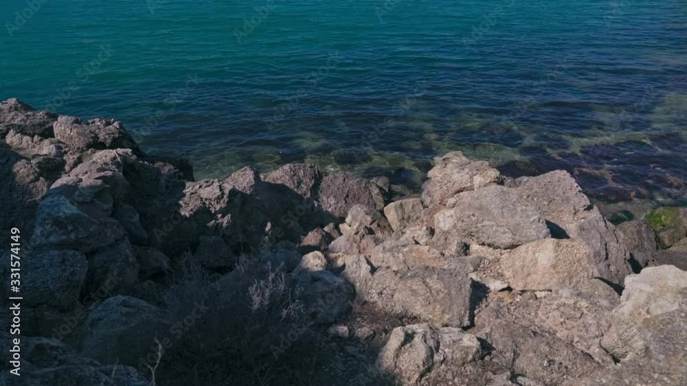 A lot of stones with green algae on the sea coast