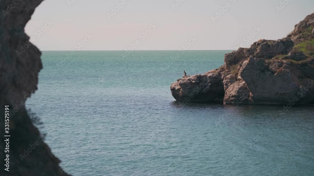 Rocks look like a dog with birds in the ocean Rocks look like a dog with birds in the ocean