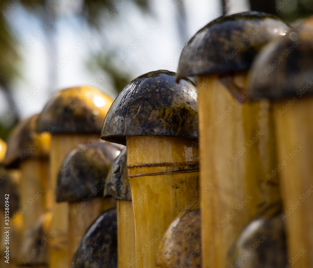 Coconut Fence