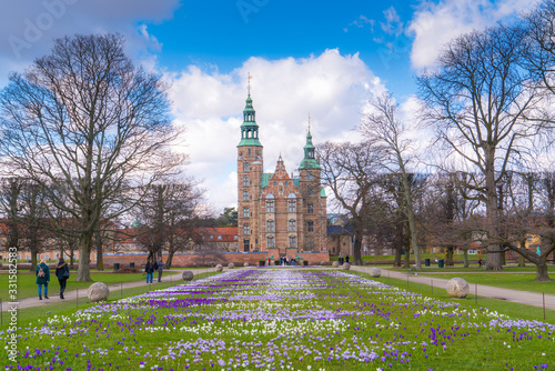 Beautiful crocus flowers in the garden. Sign of spring, Rosenborg slot, Copenhagen, Denmark