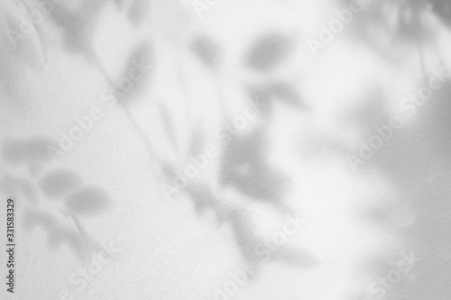 Leaves shadow and tree branch background. Natural leaves tree branch dark shadow and light from sunlight dappled on white concrete wall texture